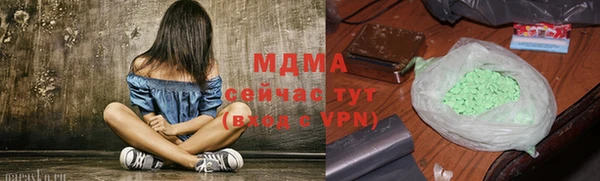 сатива Горняк