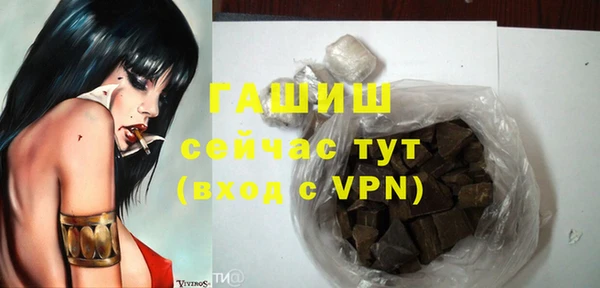 сатива Горняк
