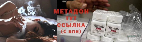 сатива Горняк