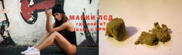 сатива Горняк