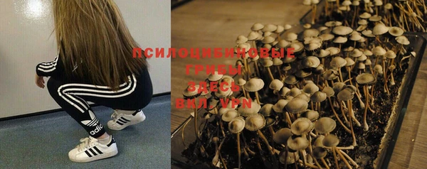 экстази Гусиноозёрск