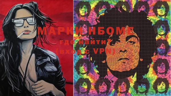 сатива Горняк