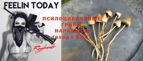 сатива Горняк