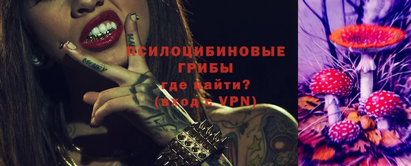 сатива Горняк