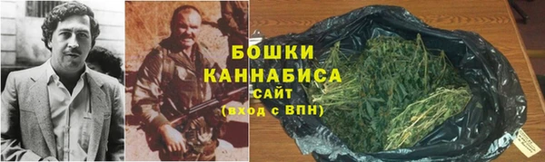 сатива Горняк