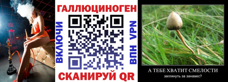 Галлюциногенные грибы Psilocybine cubensis Инза